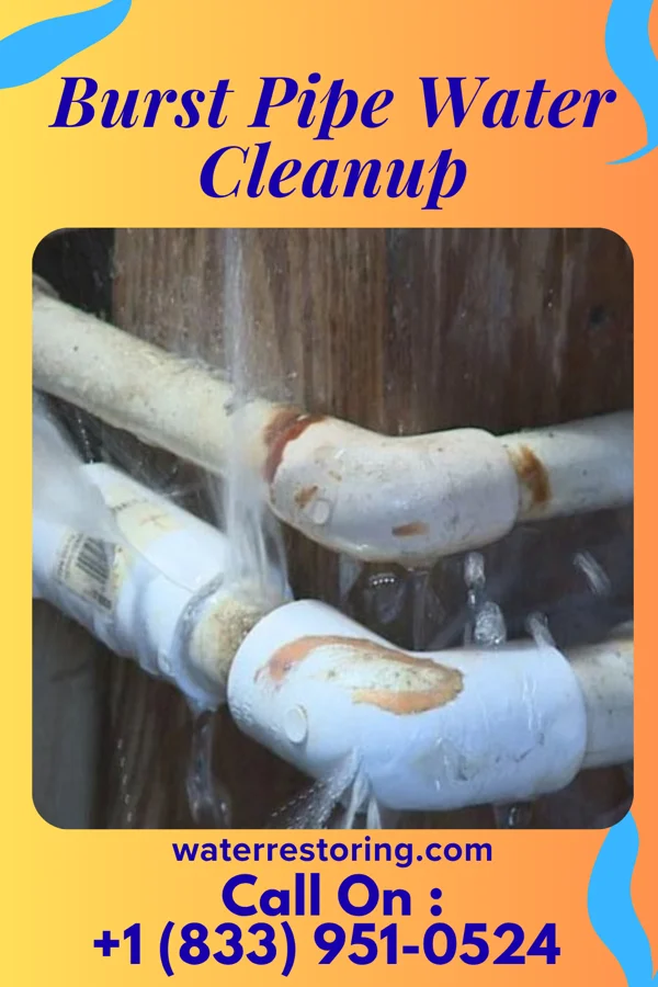 Burst Pipe Water Cleanup in Fisher, AR