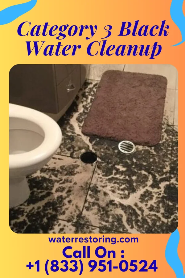 Category 3 Black Water Cleanup in Fisher, AR