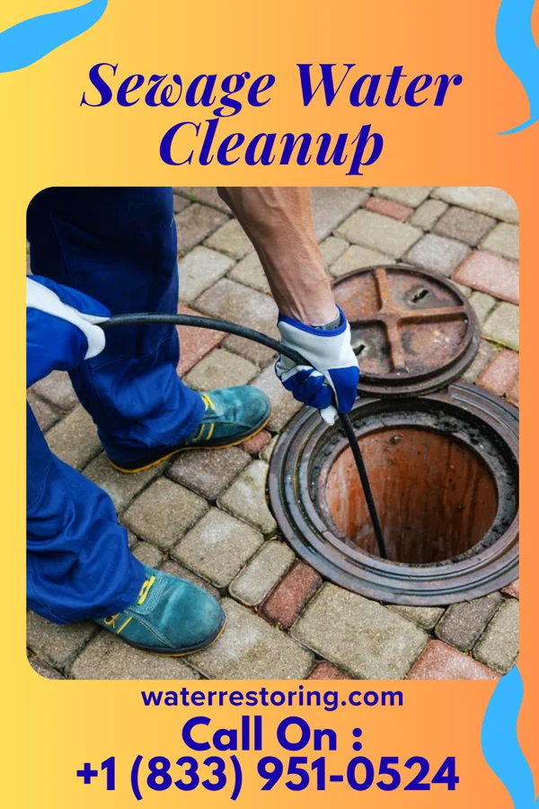 Sewage Water Cleanup in Fisher, AR